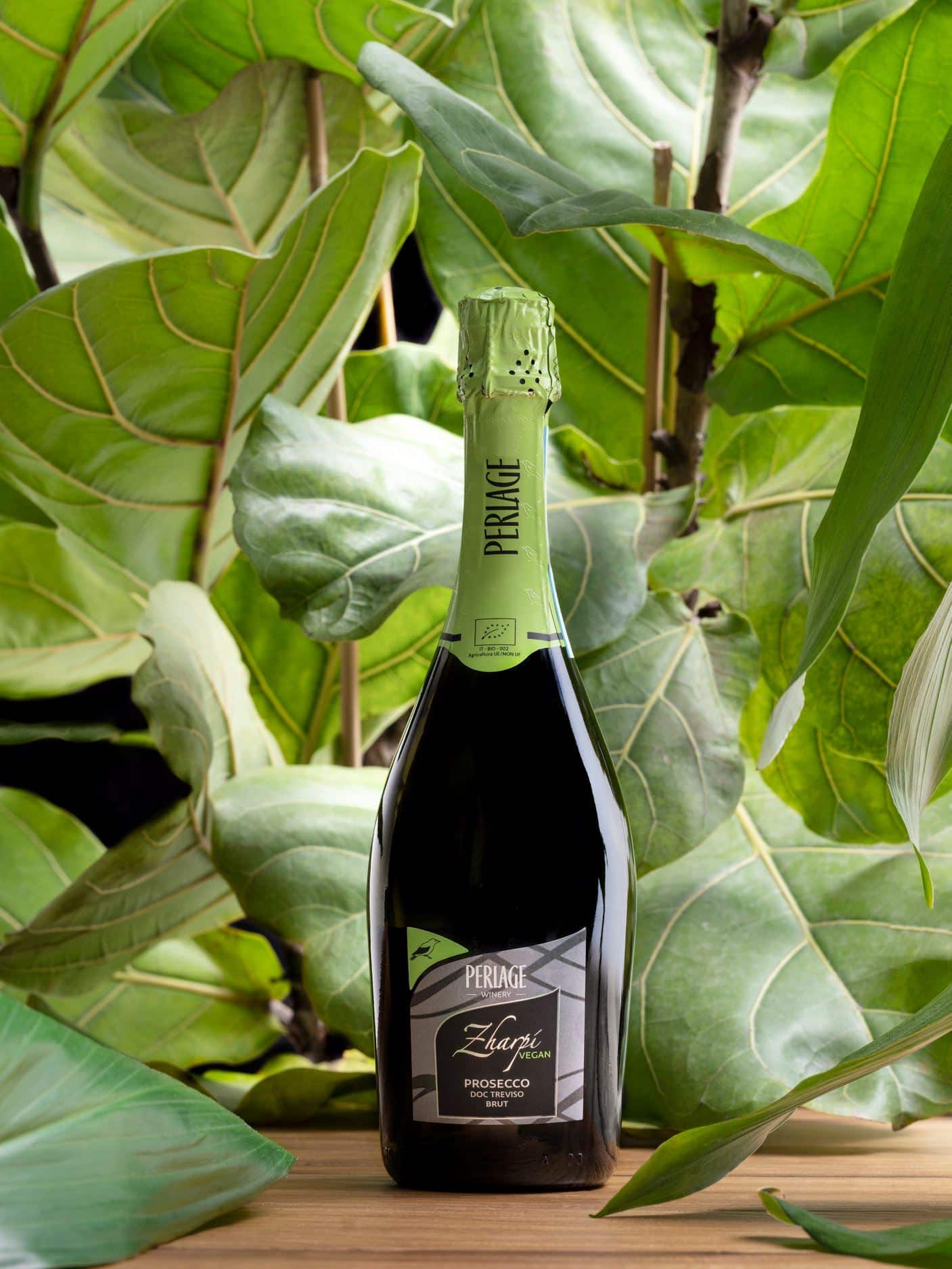 Allegra epicerie fine italienne Albi vins italien